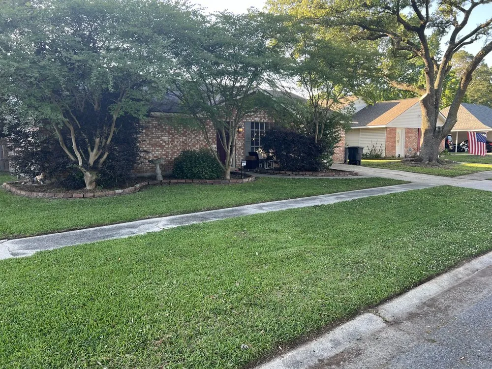 Expert landscape installation for beautiful yards across Port Allen, LA - My Lawn