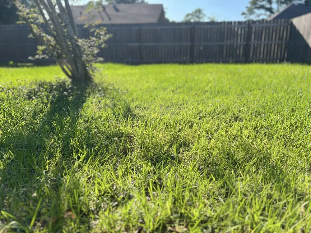 Affordable outdoor landscaping in Port Allen, LA by My Lawn