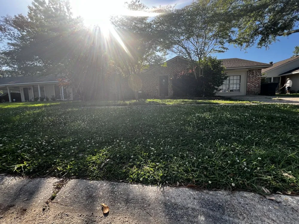 Custom outdoor landscaping in Port Allen, LA by My Lawn