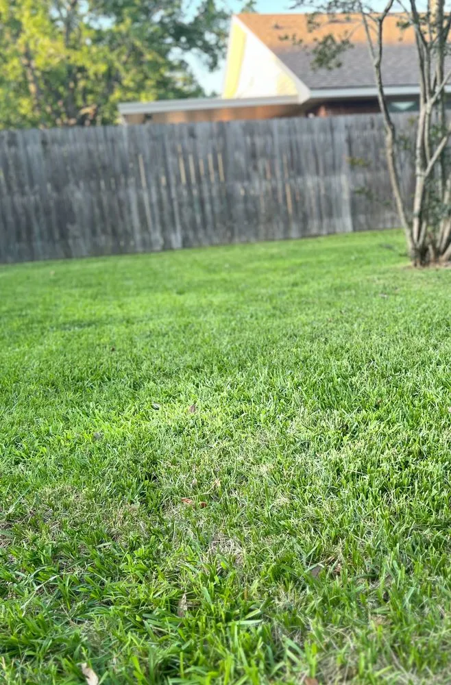 Professional landscape installation experts serving Port Allen, LA - My Lawn