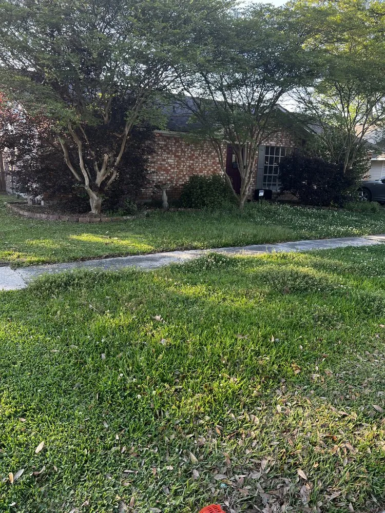 Top-rated garden landscaping for outdoor upgrades in Port Allen, LA by My Lawn