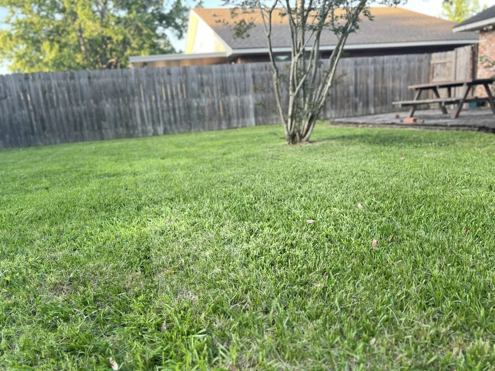 Local landscaping services in Port Allen, LA - My Lawn