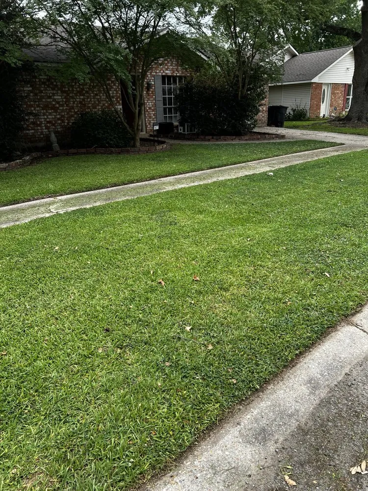 Affordable landscape installation in Port Allen, LA - My Lawn