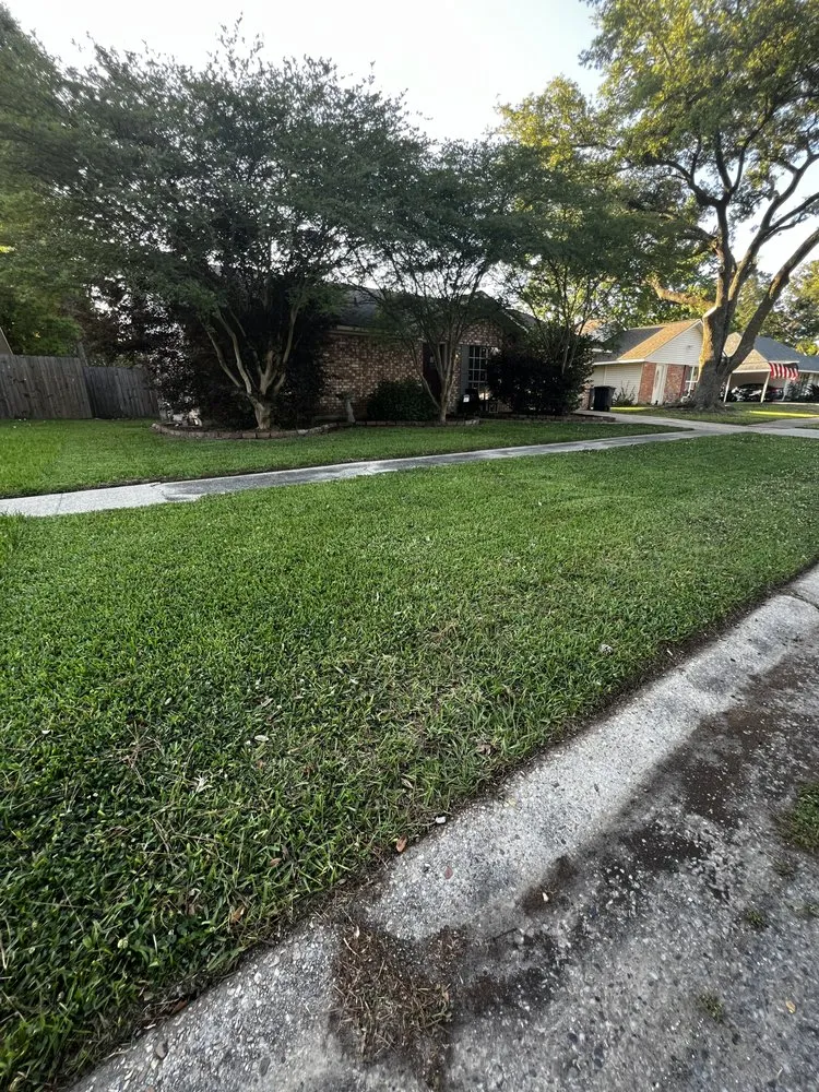 Affordable garden landscaping for beautiful yards across Port Allen, LA - My Lawn