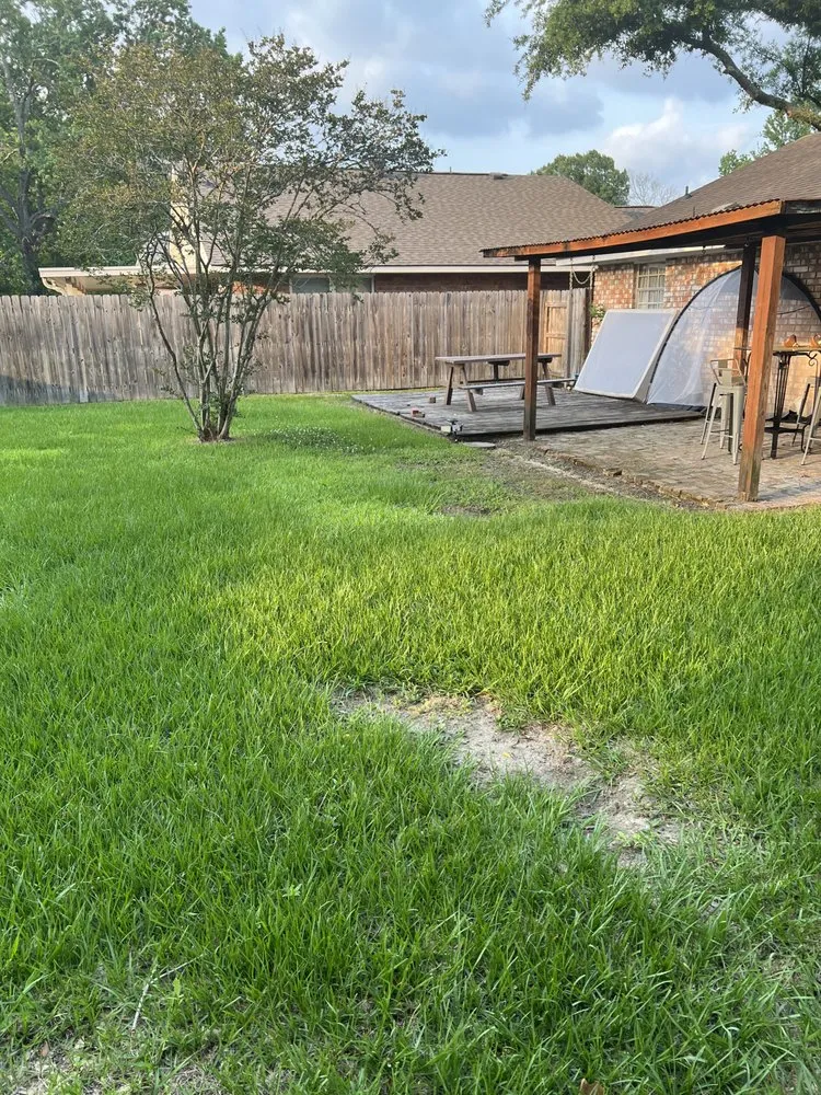 Expert yard maintenance in Port Allen, LA by My Lawn