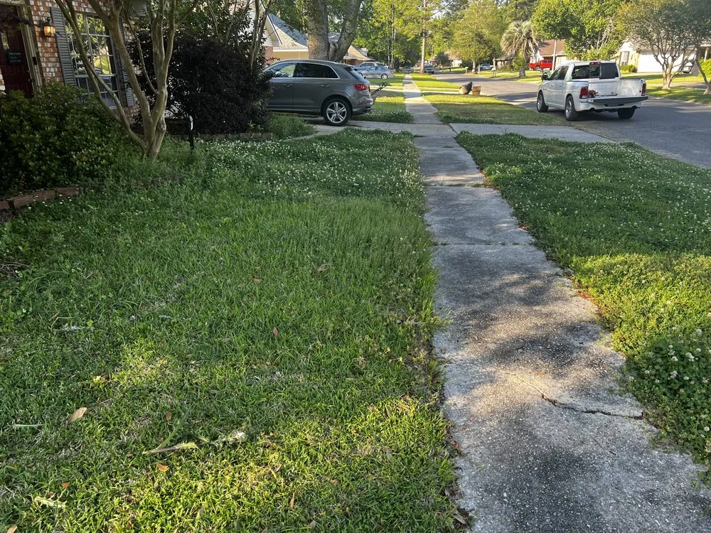 Reliable landscape design in Port Allen, LA - My Lawn