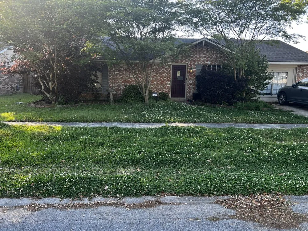 Custom lawn care service in Port Allen, LA - My Lawn