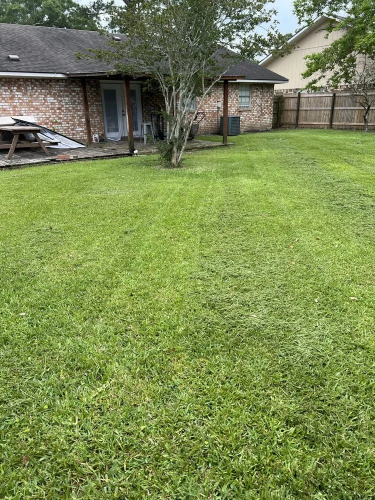 Reliable residential landscaping for outdoor upgrades in Port Allen, LA by My Lawn