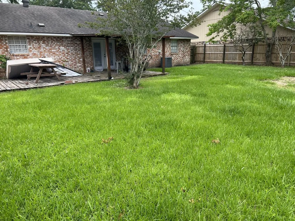 Reliable lawn care service in Port Allen, LA by My Lawn