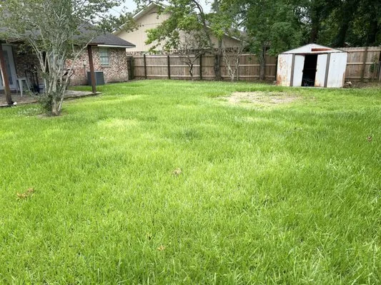 My Lawn