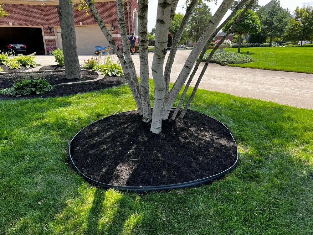 Reliable yard cleanup service for year-round maintenance in Chambersburg, PA by My ldel Real Landscaping