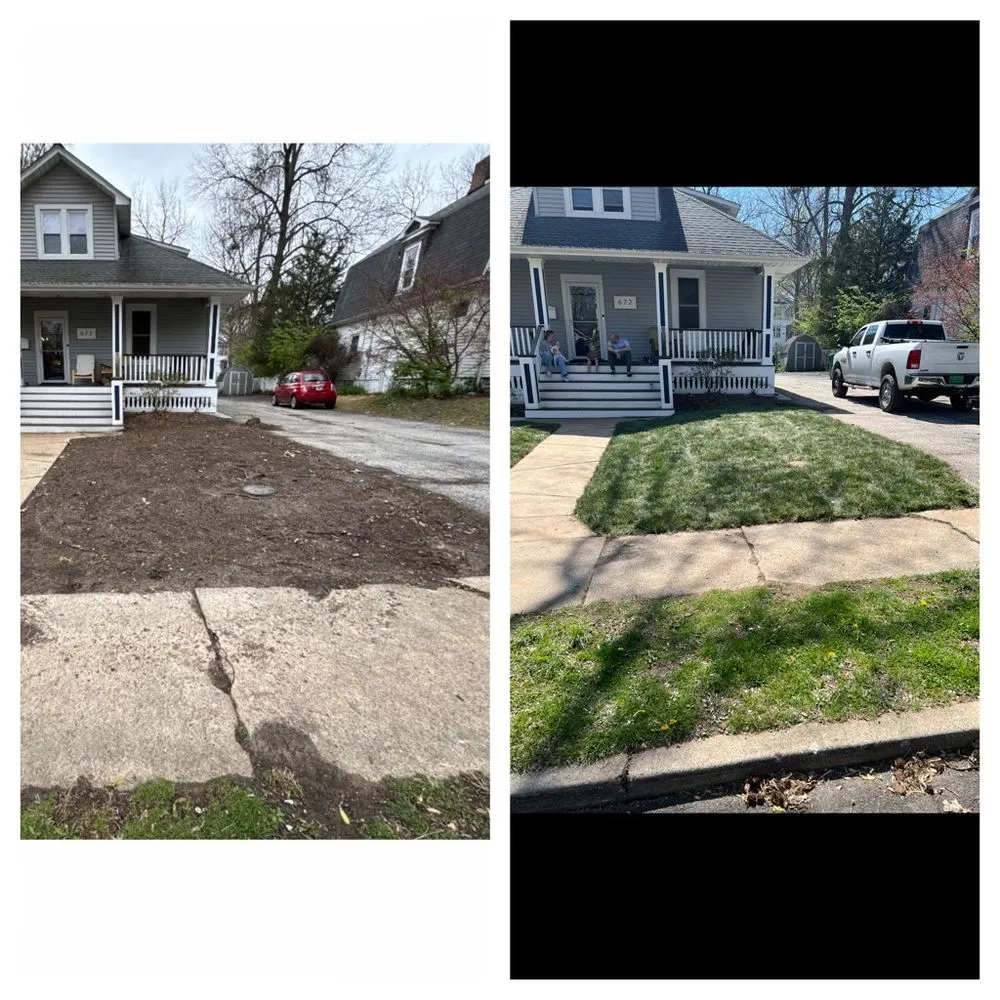 Reliable landscaping services experts serving House Springs, MO - My Level Property Development
