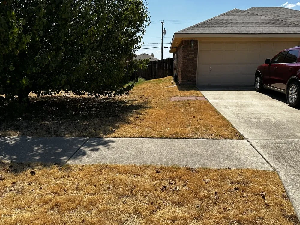 Trusted landscaping services in Killeen, TX by My Little Rascals Lawn Care & Maintenance