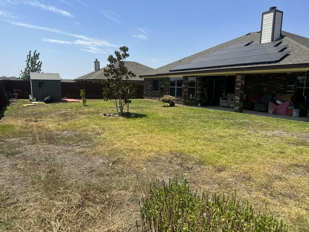 Local yard cleanup service experts serving Killeen, TX - My Little Rascals Lawn Care & Maintenance