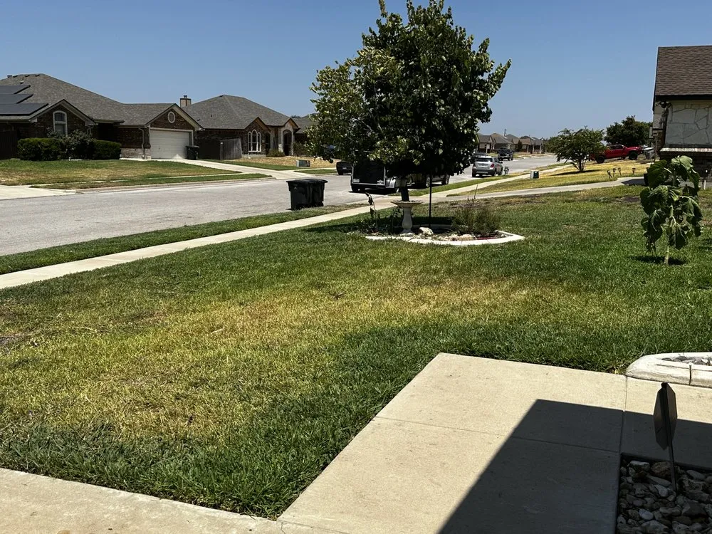 Professional garden landscaping in Killeen, TX - My Little Rascals Lawn Care & Maintenance