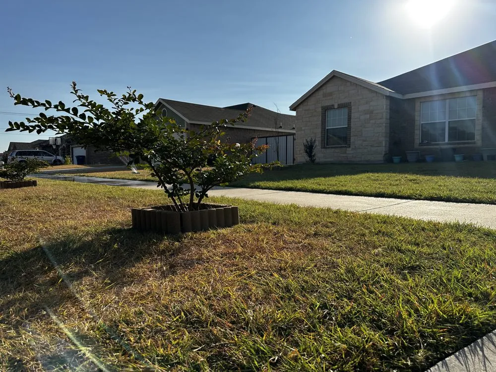 Reliable landscape installation for year-round maintenance in Killeen, TX by My Little Rascals Lawn Care & Maintenance