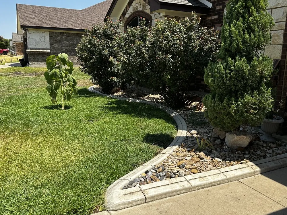 Trusted lawn mowing service experts serving Killeen, TX - My Little Rascals Lawn Care & Maintenance