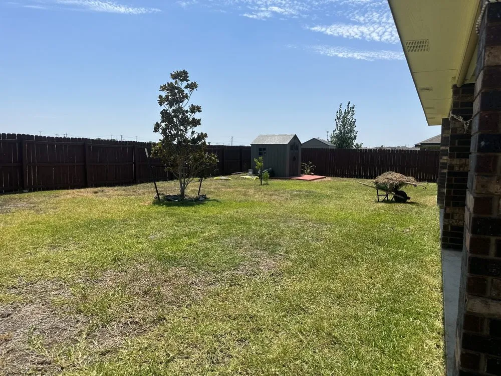 Custom lawn mowing service for beautiful yards in Killeen, TX by My Little Rascals Lawn Care & Maintenance