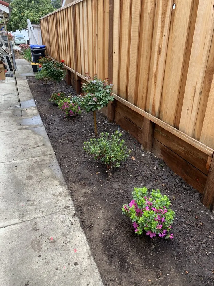 Custom lawn mowing service for homes across Newark, CA - My lovely garden