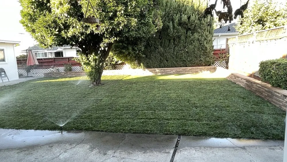 Custom lawn mowing service near you across Newark, CA - My lovely garden