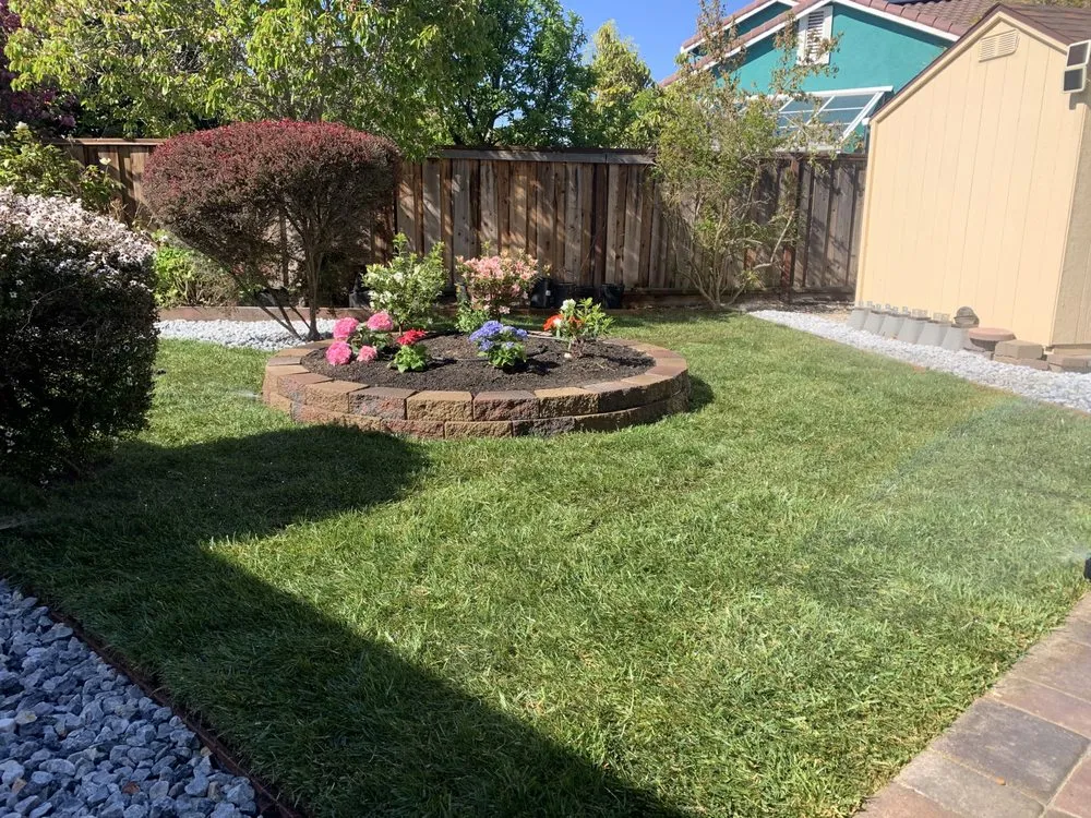 Expert lawn mowing service experts serving Newark, CA - My lovely garden