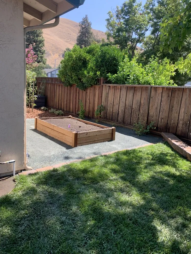 Custom lawn mowing service in Newark, CA by My lovely garden