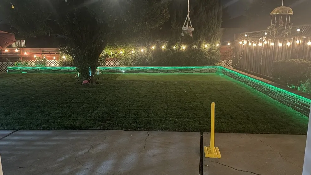 Expert yard cleanup service in Newark, CA by My lovely garden