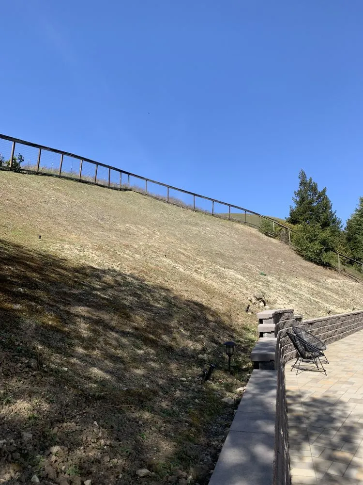 Expert landscaping services in Newark, CA by My lovely garden