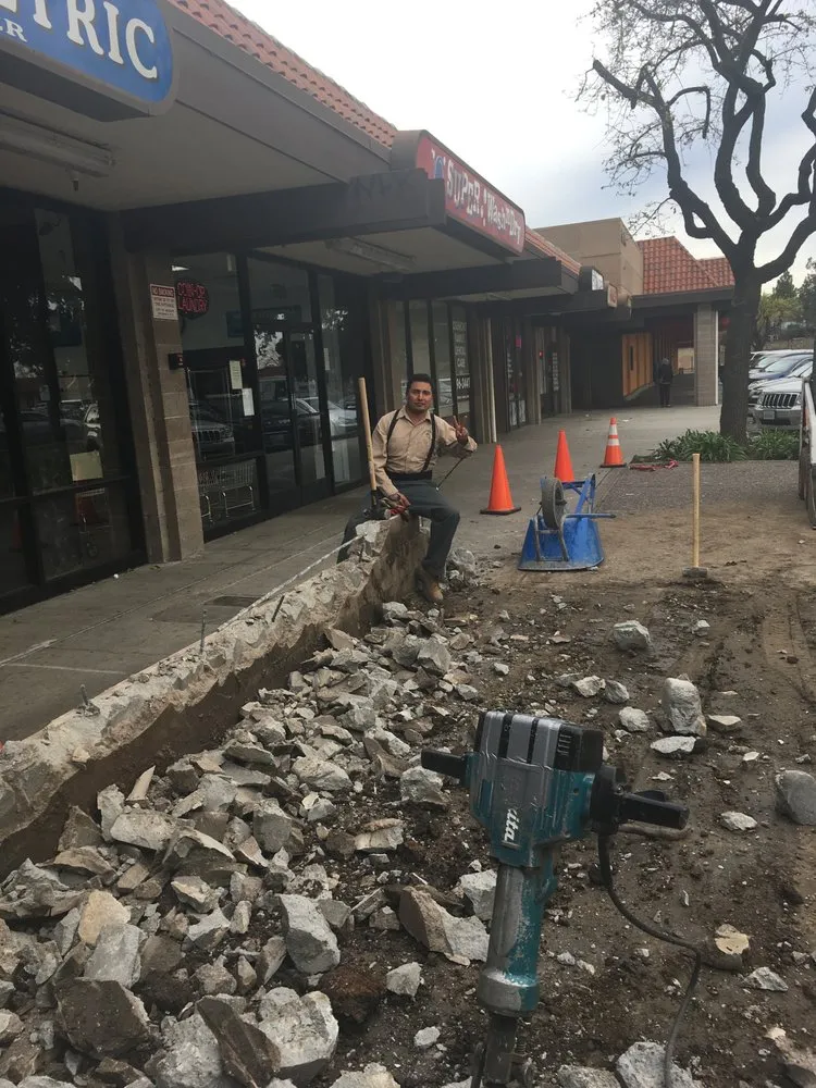 Expert landscape design experts serving Newark, CA - My lovely garden