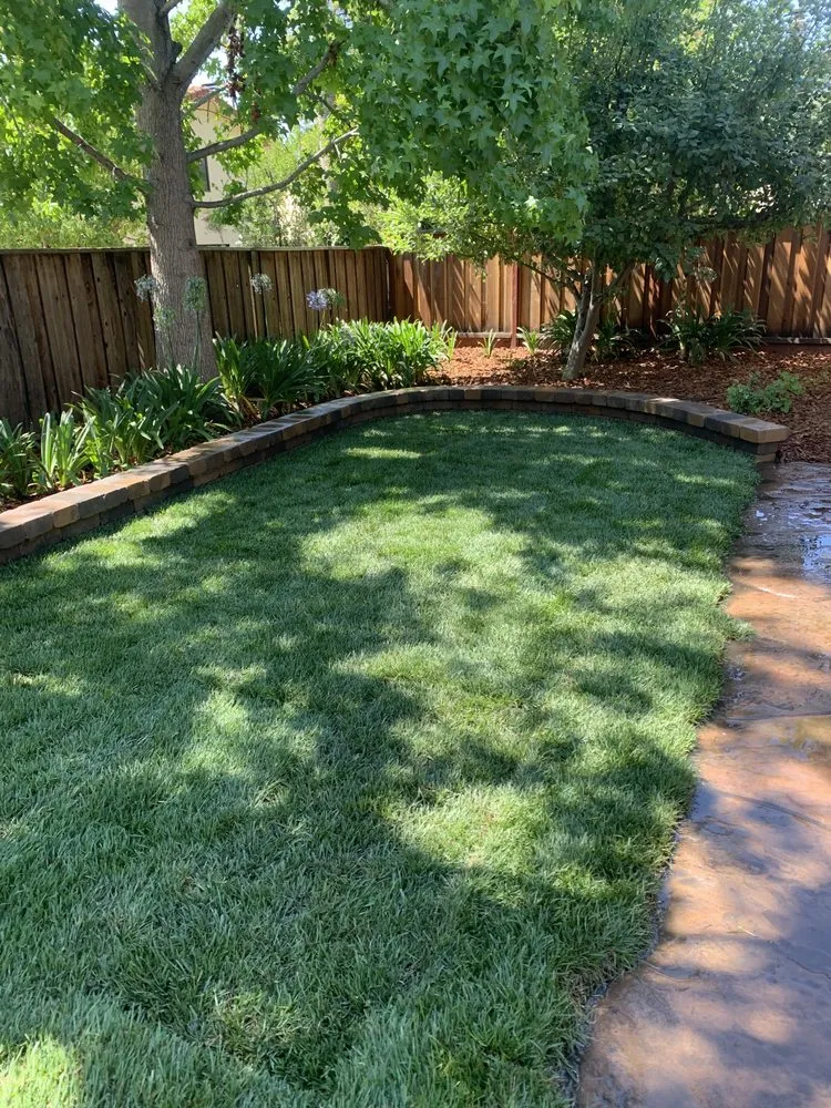 Local outdoor landscaping with custom design in Newark, CA by My lovely garden