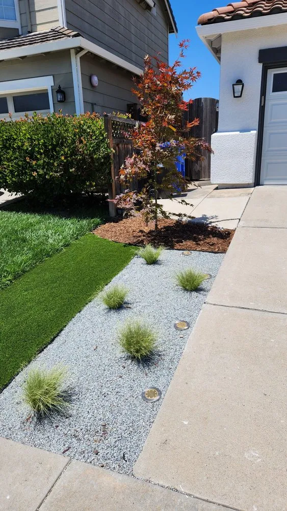 Reliable outdoor landscaping for beautiful yards in Newark, CA by My lovely garden