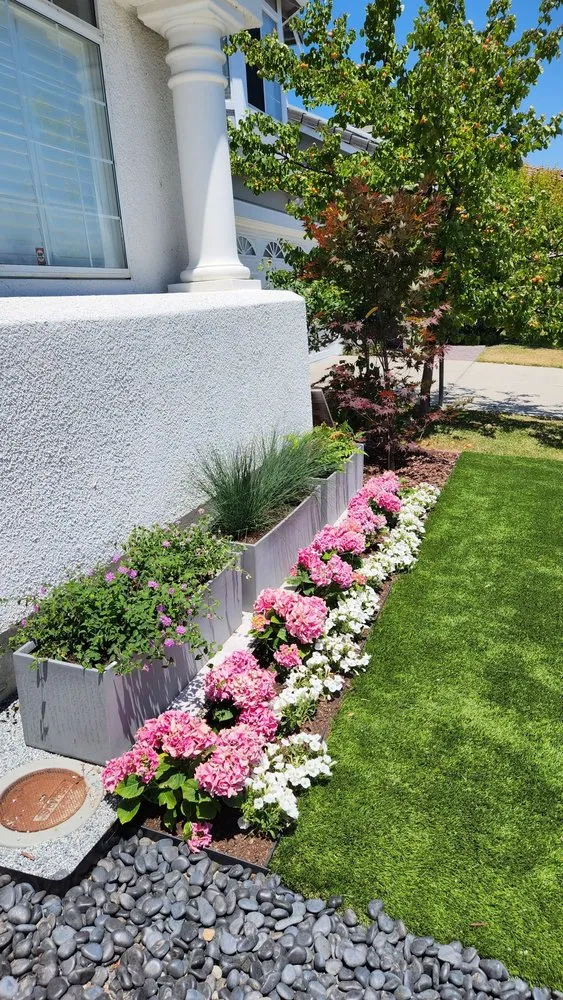 Top-rated yard maintenance in Newark, CA by My lovely garden