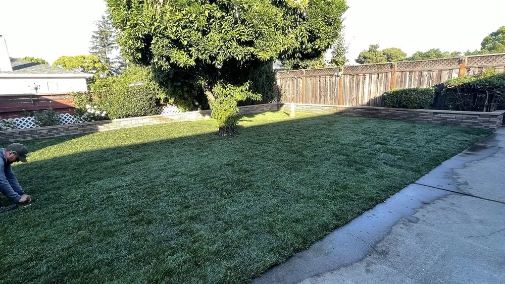 Trusted landscape installation for outdoor upgrades across Newark, CA - My lovely garden