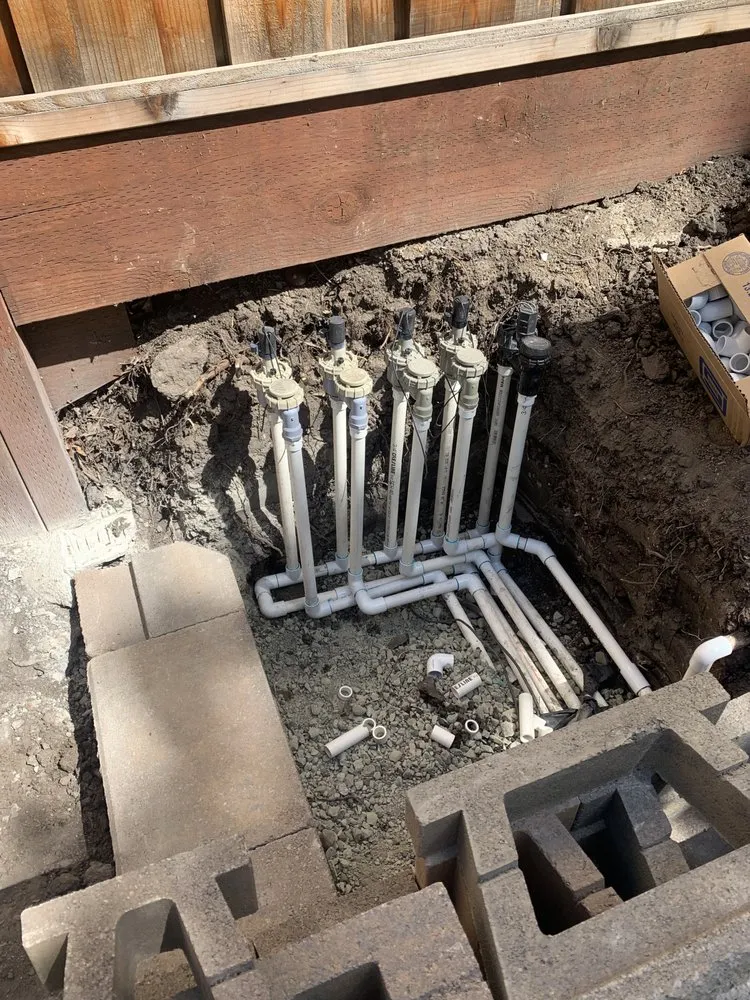 Top-rated yard cleanup service in Newark, CA - My lovely garden