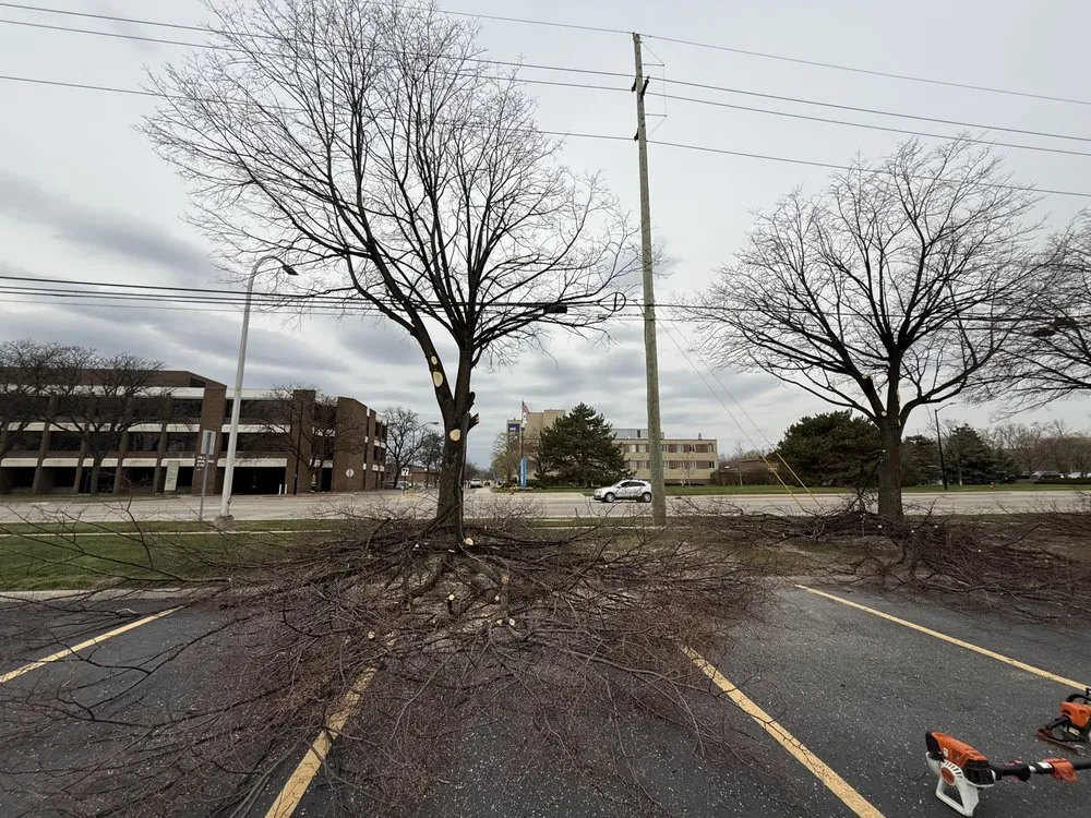 Affordable landscape design for beautiful yards across Troy, MI - My Michigan Landscaper