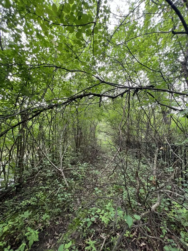 Trusted garden landscaping experts serving Troy, MI - My Michigan Landscaper