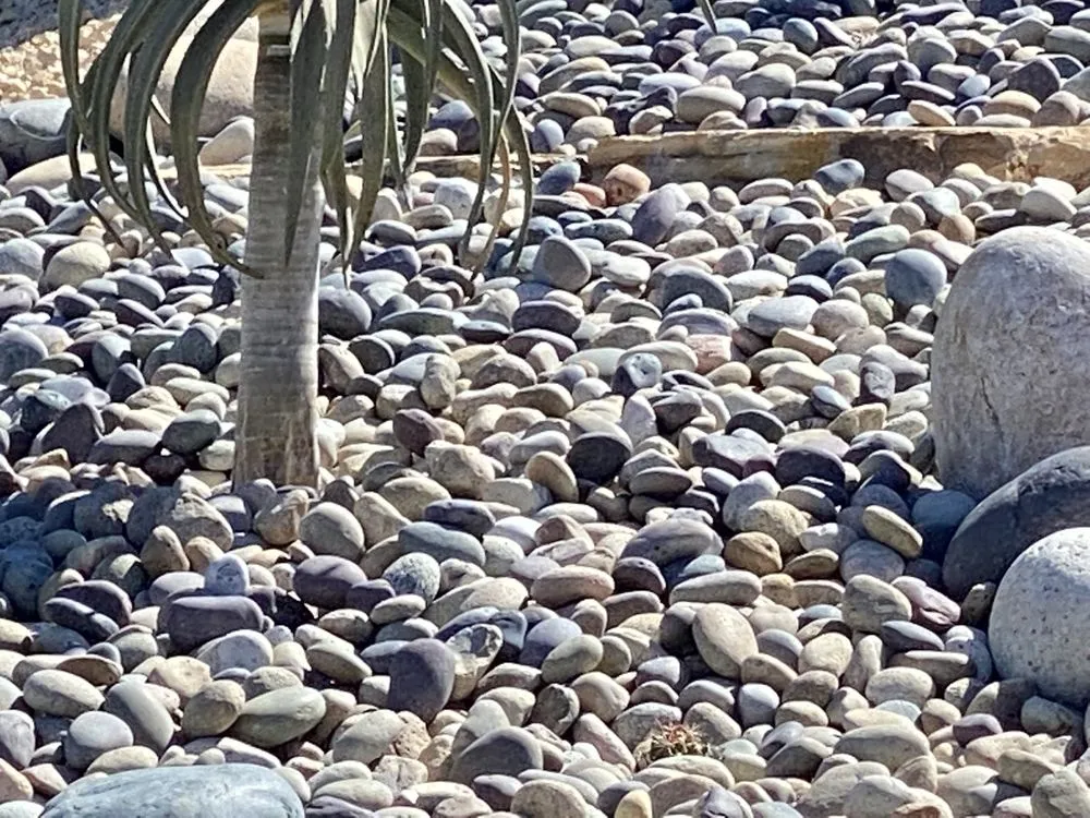 Reliable lawn care service for beautiful yards across Palmdale, CA - My Mulch