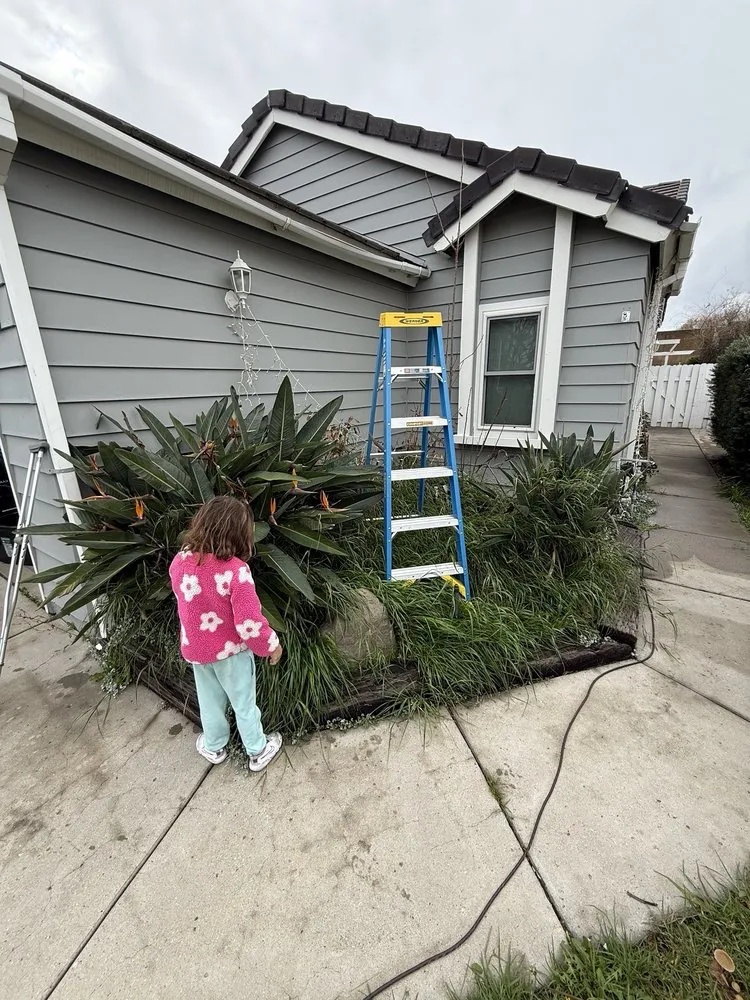 Professional landscape design in Palmdale, CA by My Mulch