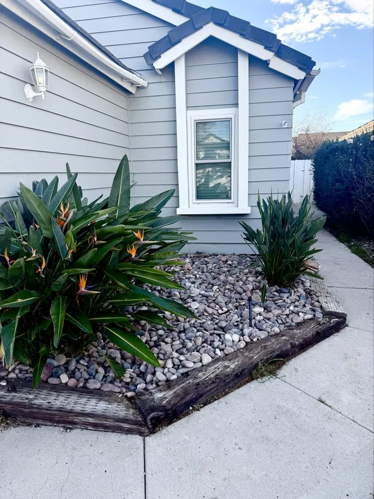 Reliable landscape design for homes in Palmdale, CA by My Mulch