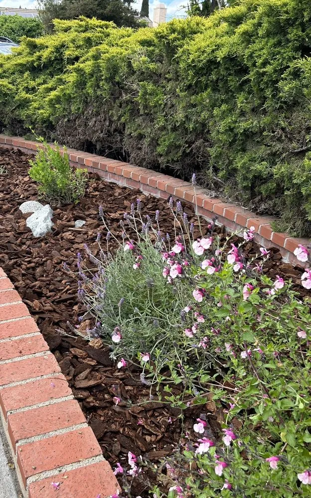 Custom landscape installation for homes in Palmdale, CA by My Mulch