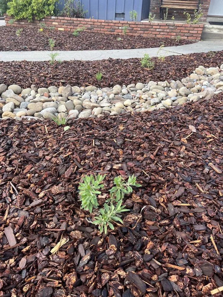 Local lawn care service in Palmdale, CA by My Mulch
