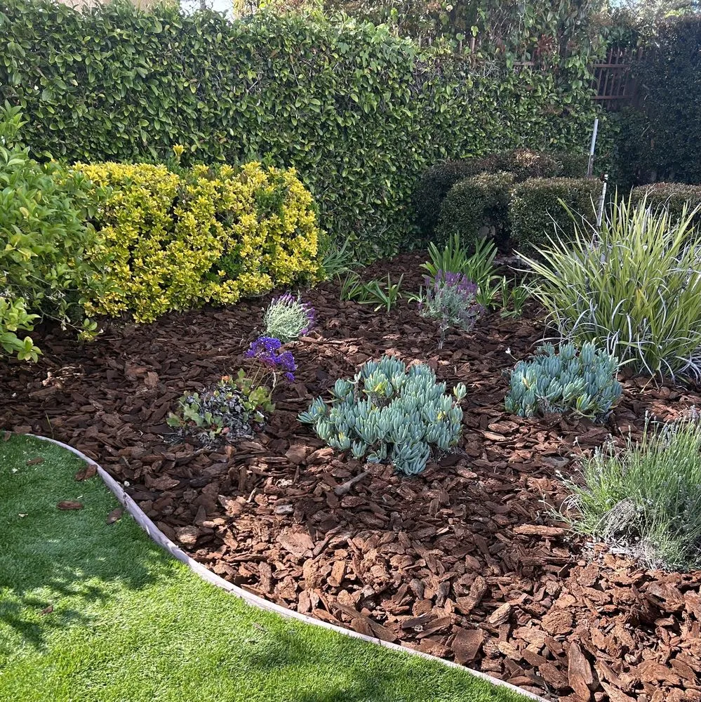 Expert landscaping services experts serving Palmdale, CA - My Mulch