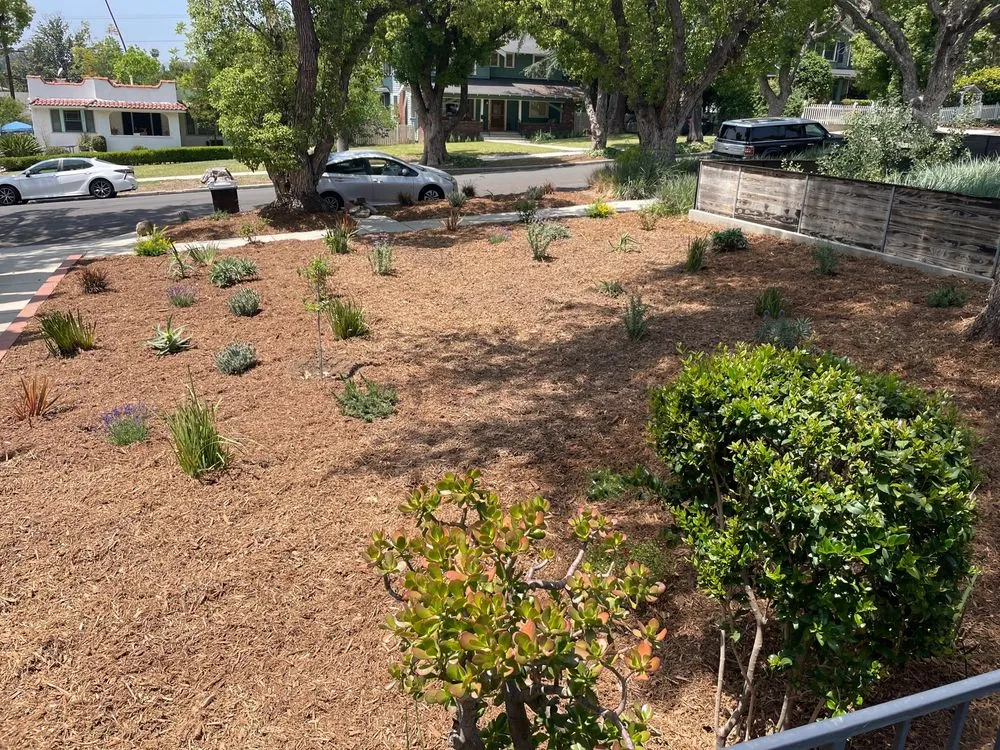 Top-rated residential landscaping in Palmdale, CA - My Mulch