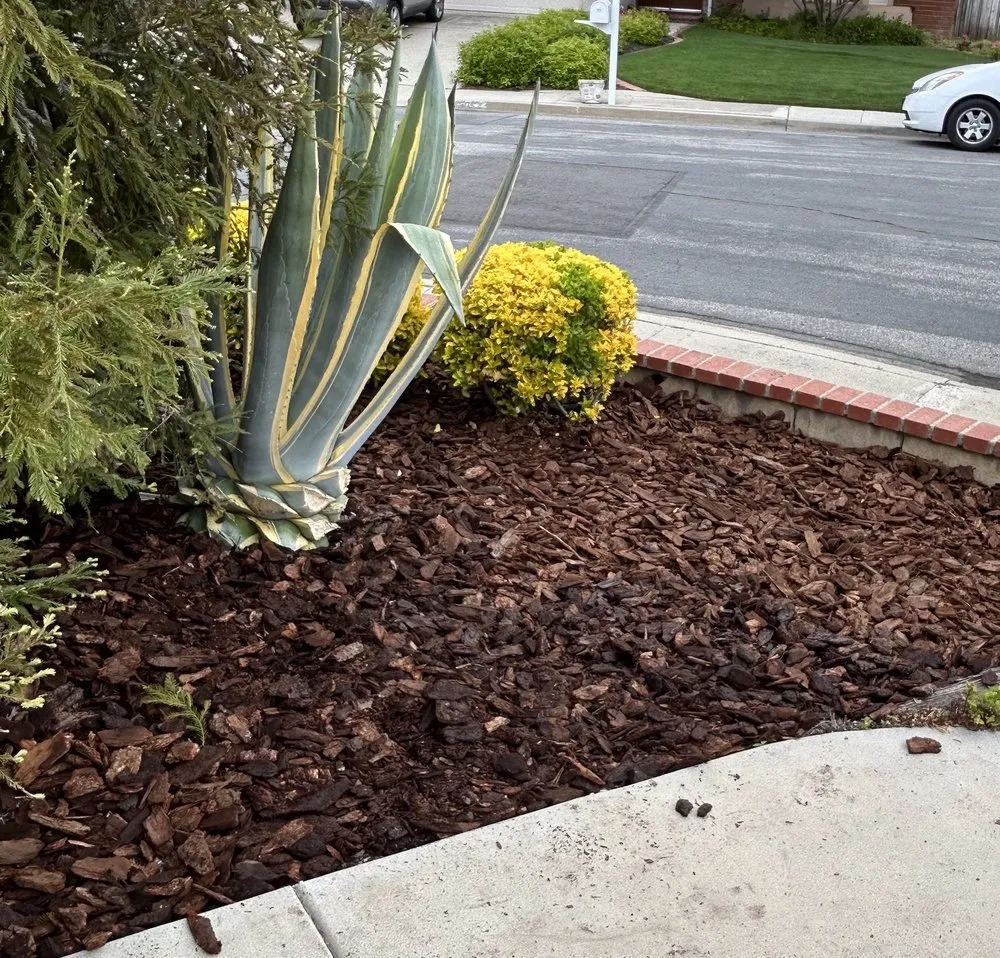 Expert residential landscaping in Palmdale, CA by My Mulch