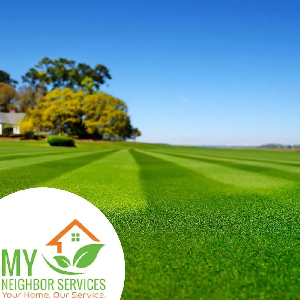 Affordable landscape installation for year-round maintenance across Allen, TX - My Neighbor Services