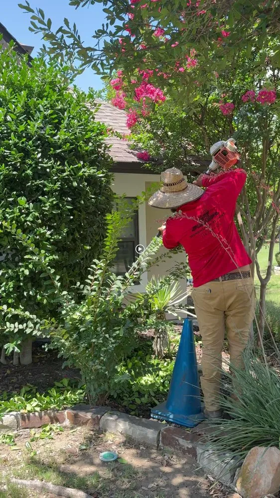 Top-rated yard cleanup service experts serving Allen, TX - My Neighbor Services