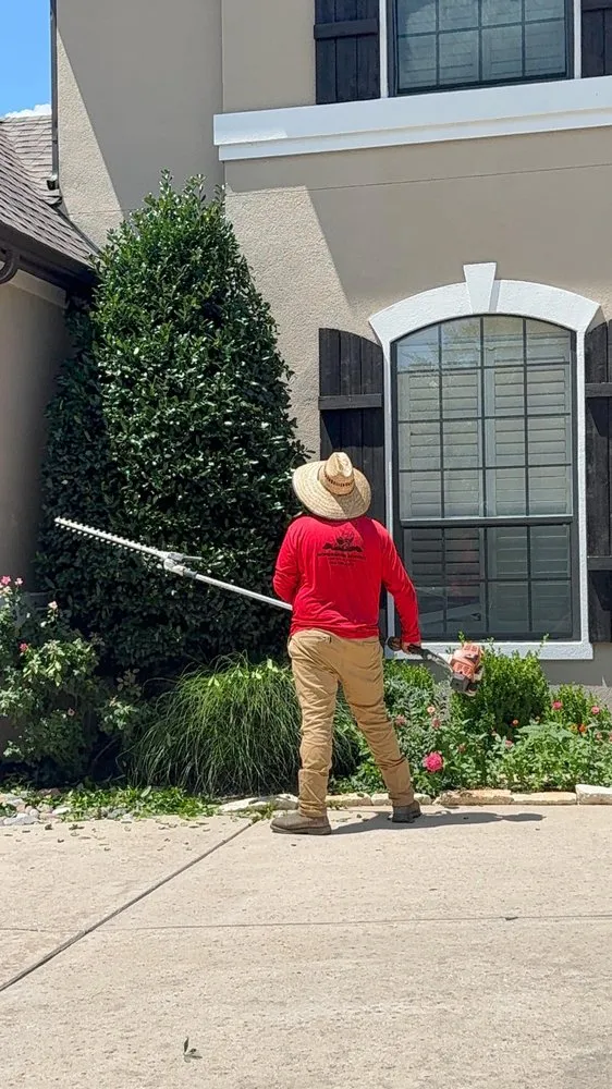 Reliable yard cleanup service in Allen, TX - My Neighbor Services