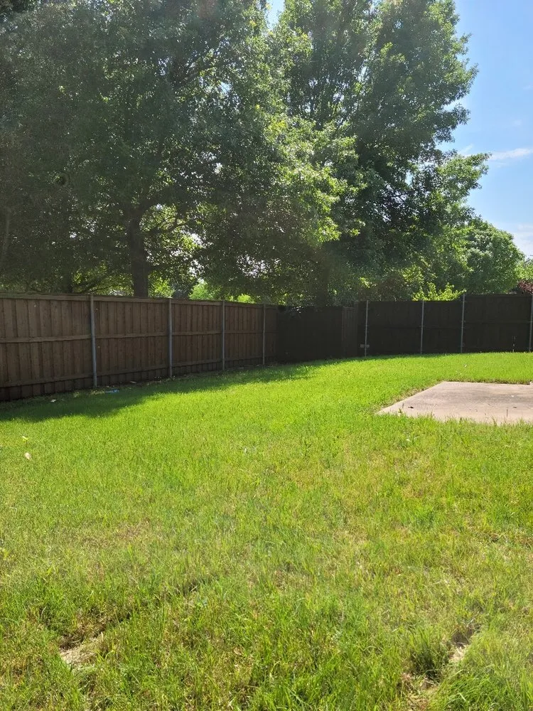 Reliable yard cleanup service in Allen, TX by My Neighbor Services