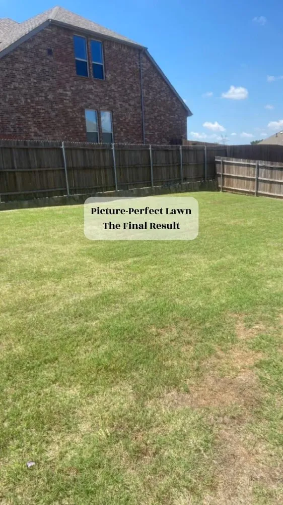 Trusted lawn mowing service for beautiful yards across Allen, TX - My Neighbor Services
