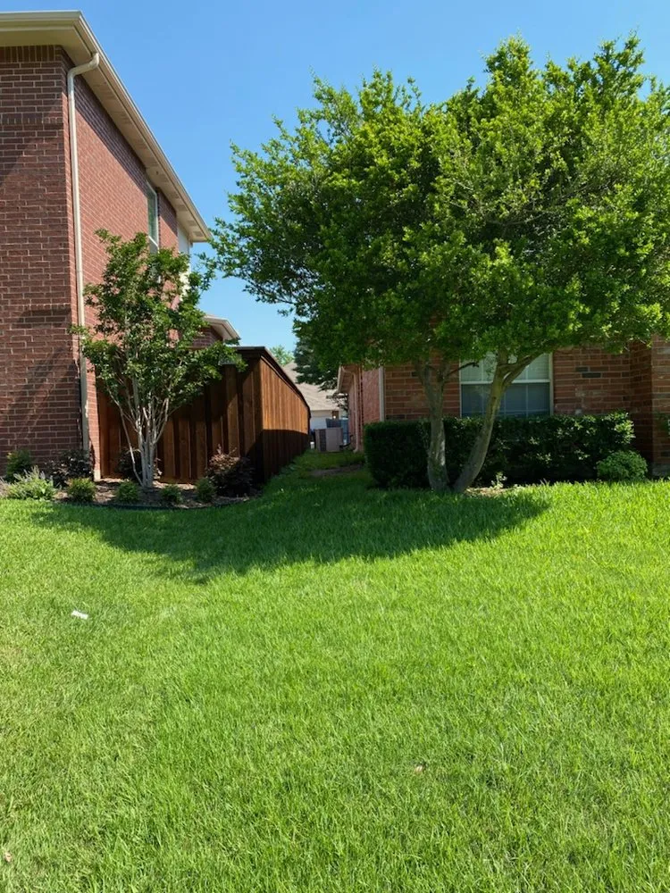 Local outdoor landscaping for year-round maintenance across Allen, TX - My Neighbor Services